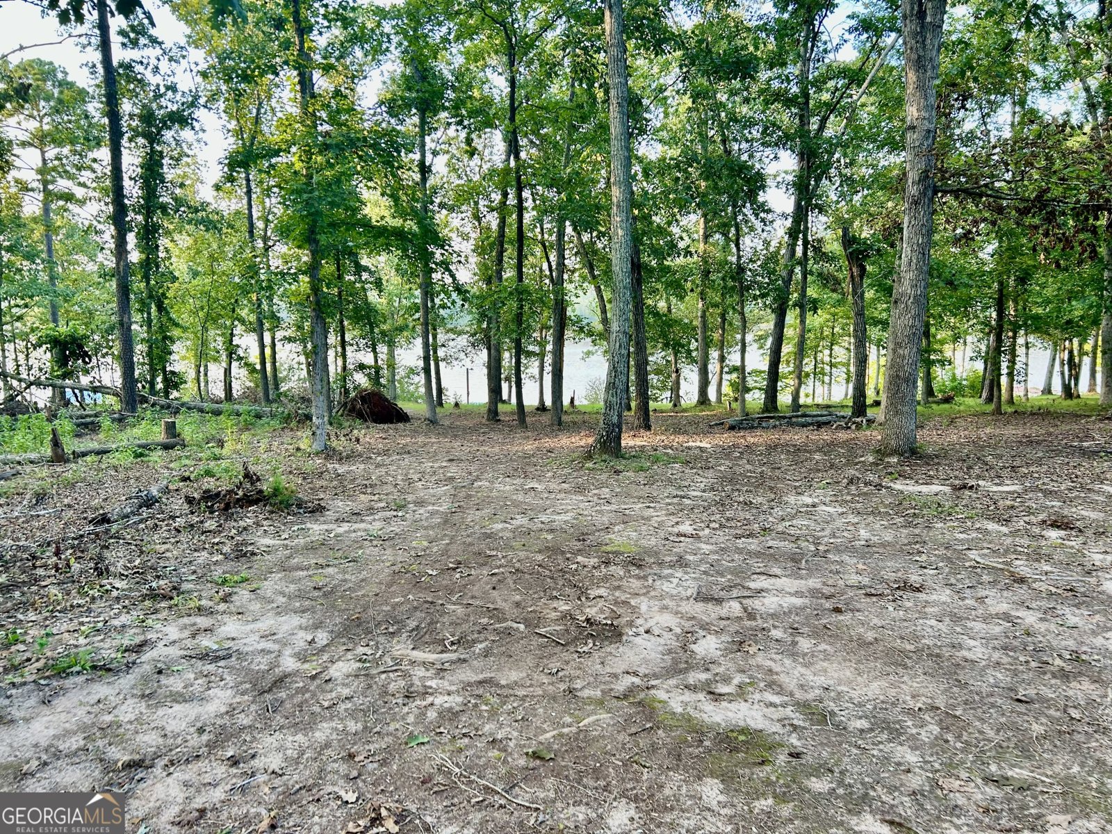 1485 Broad River Scenic Drive Tignall - 12