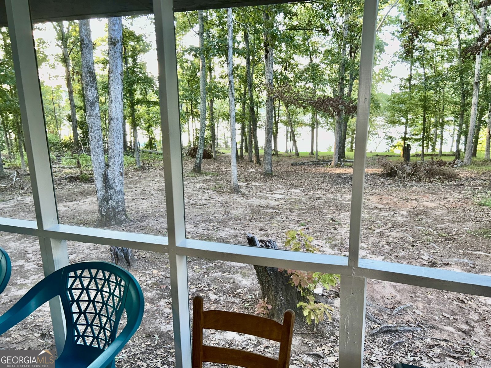 1485 Broad River Scenic Drive Tignall - 25