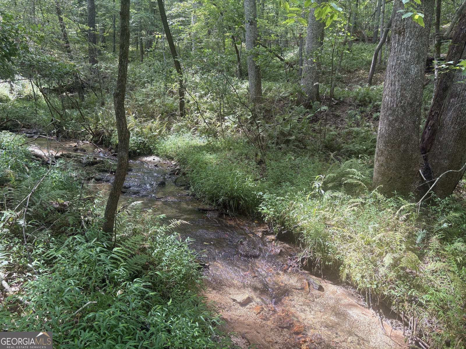 125 Winding Creek Road Blue Ridge - 34