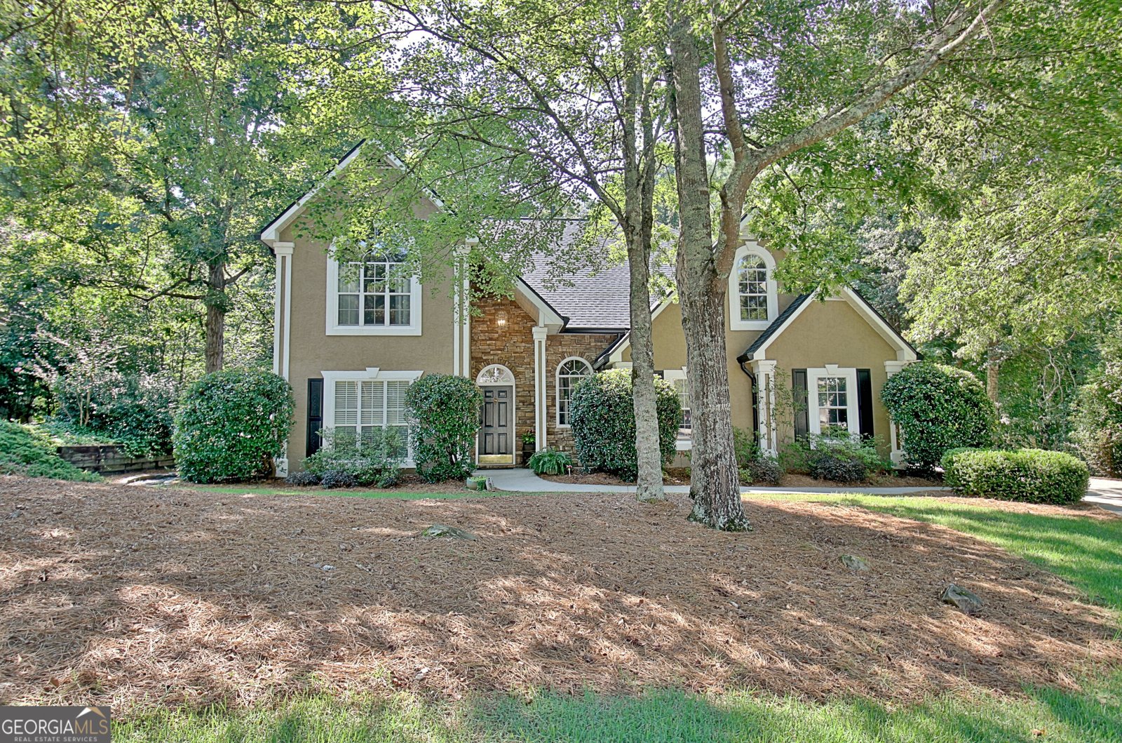 407 Plantain Terrace Peachtree City - 1