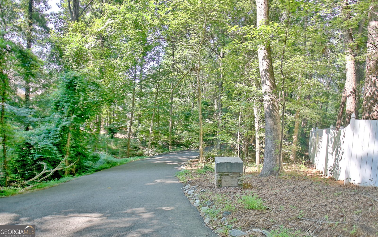 407 Plantain Terrace Peachtree City - 43