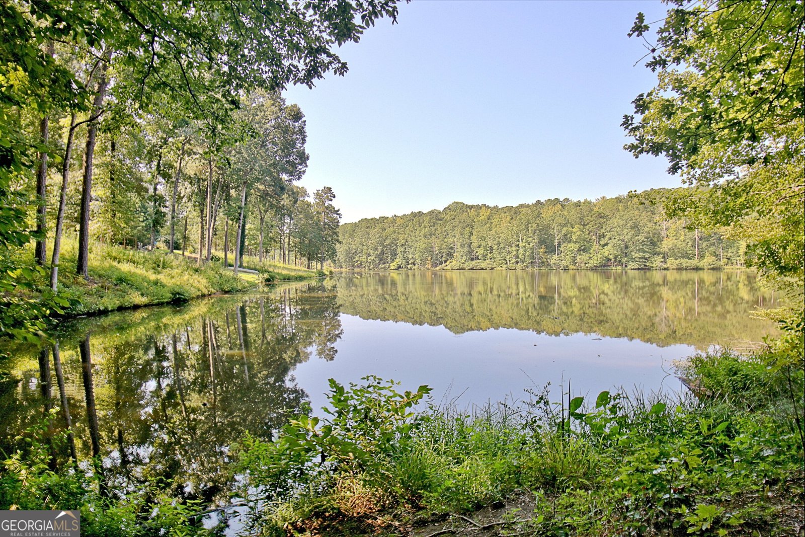 407 Plantain Terrace Peachtree City - 44