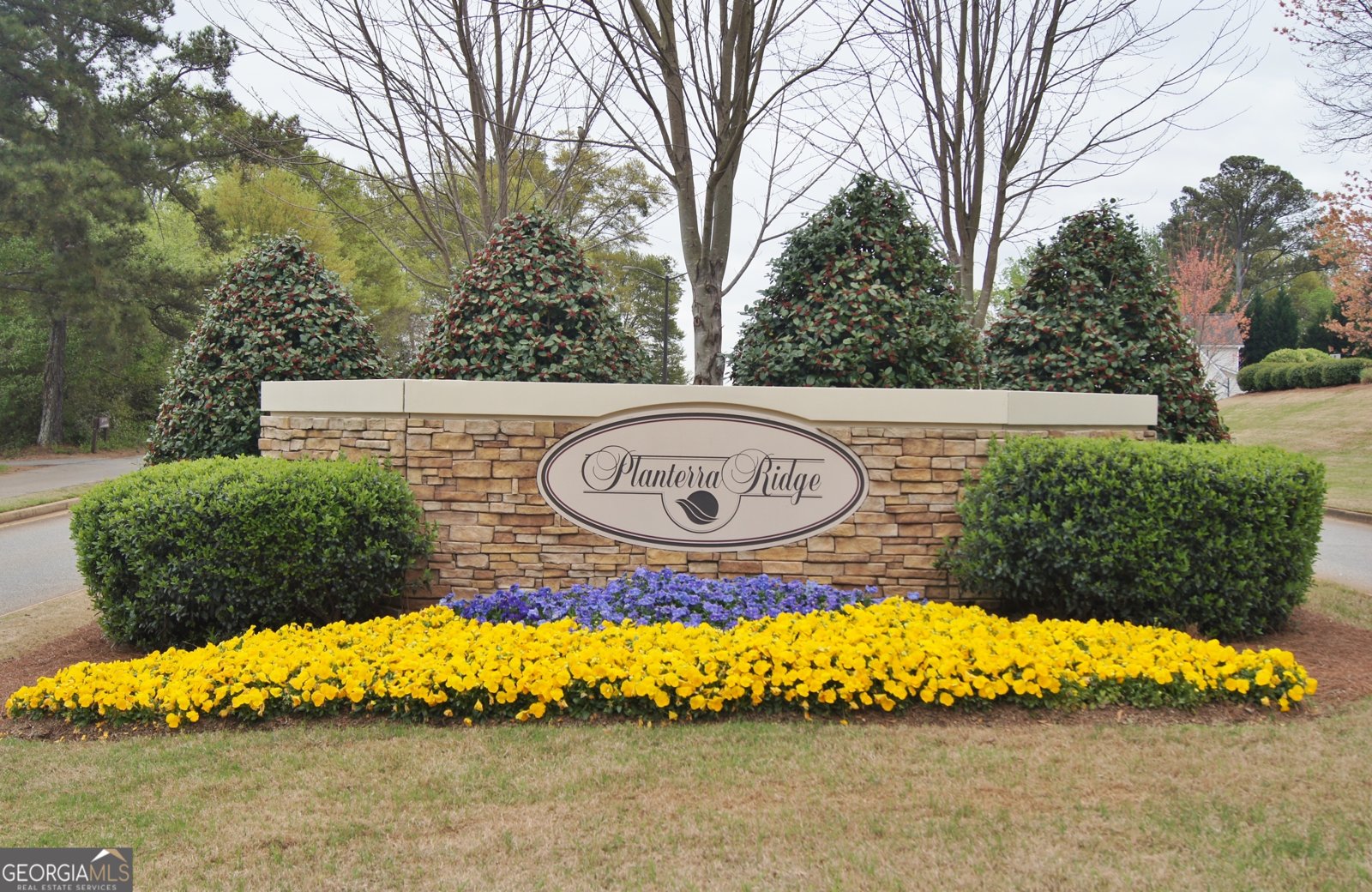 407 Plantain Terrace Peachtree City - 47