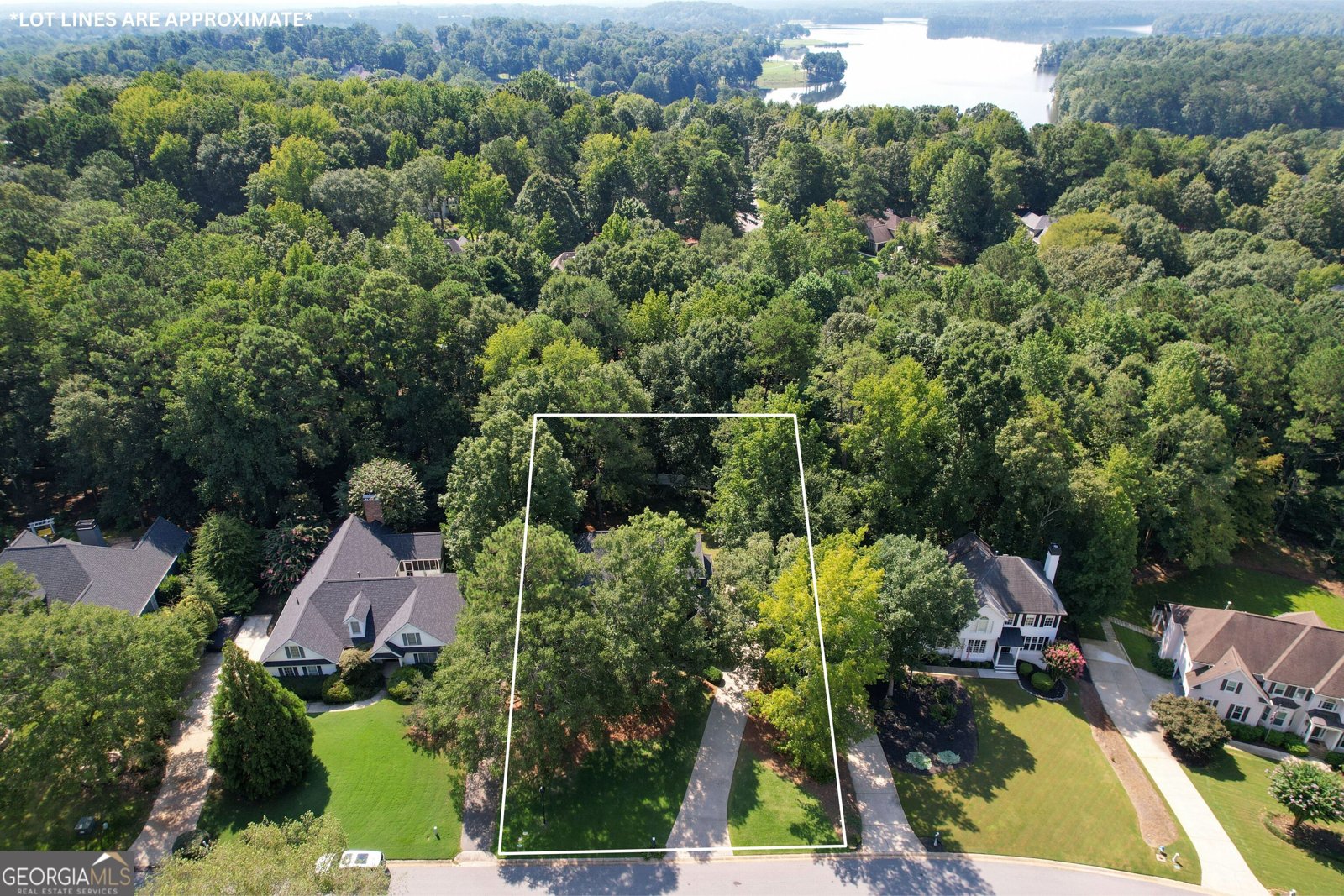 407 Plantain Terrace Peachtree City - 53