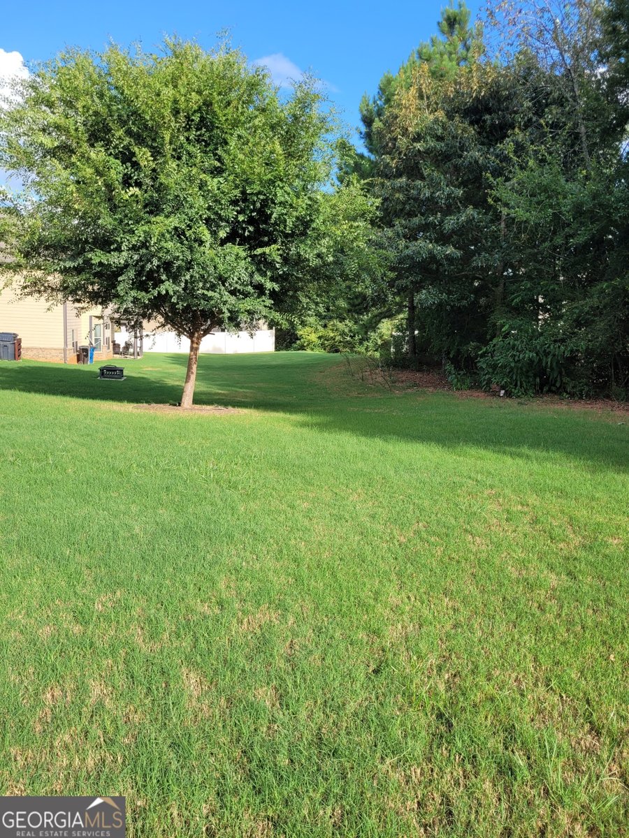 429 Denali Lane McDonough - 4