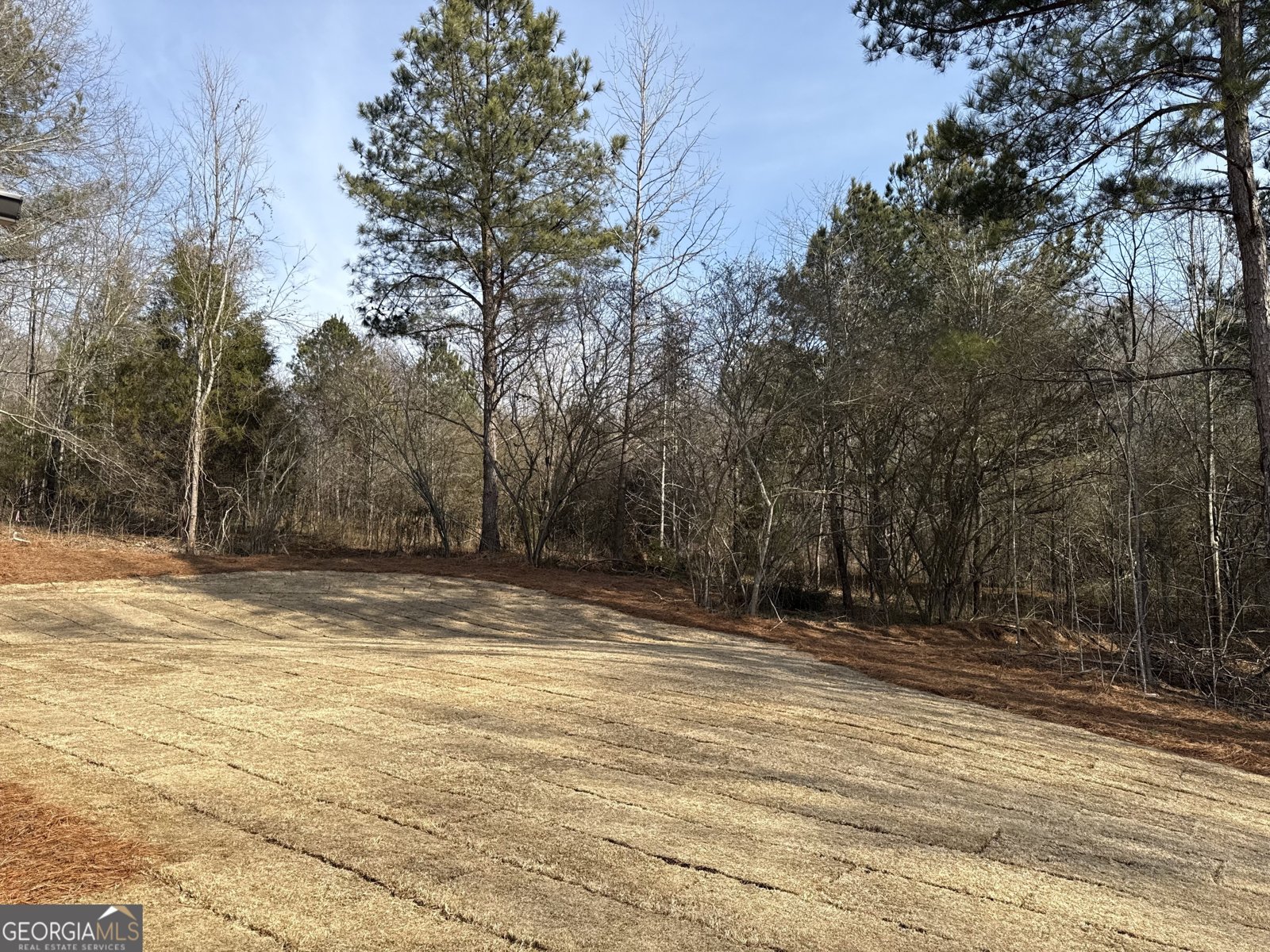 1210 Austin Road Winder - Photo 13