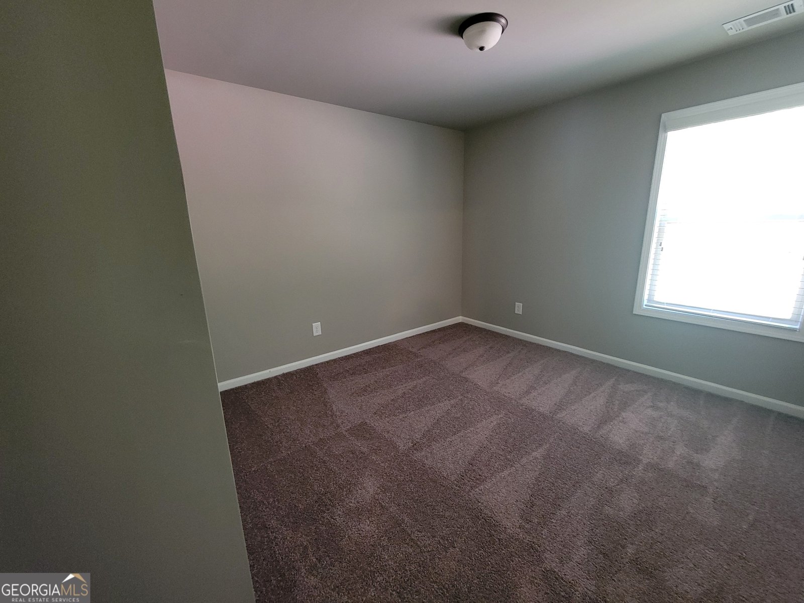 891 Walnut Woods Drive Braselton - 15