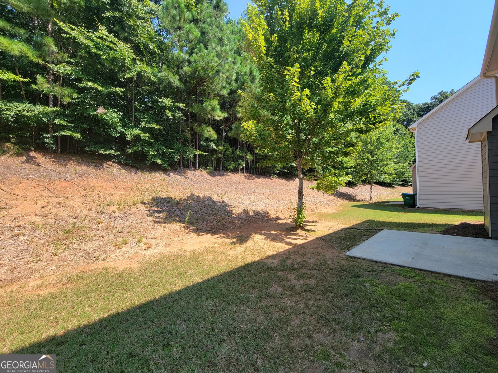 921 Walnut Woods Drive Braselton - 3