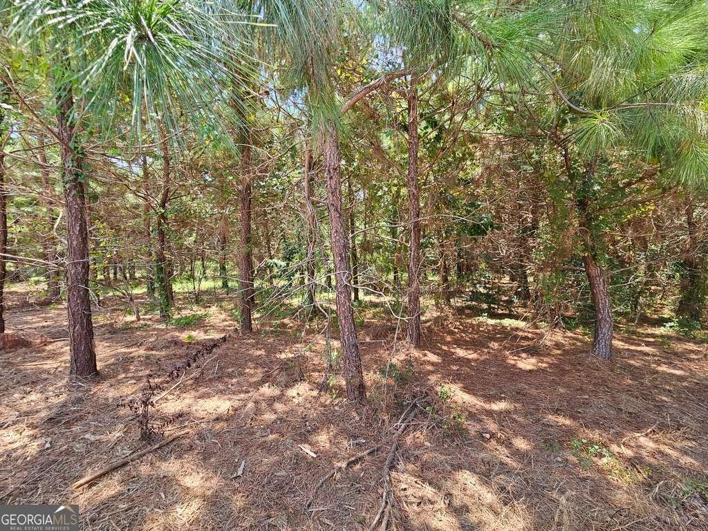 156 Lindy Road Fitzgerald - 6