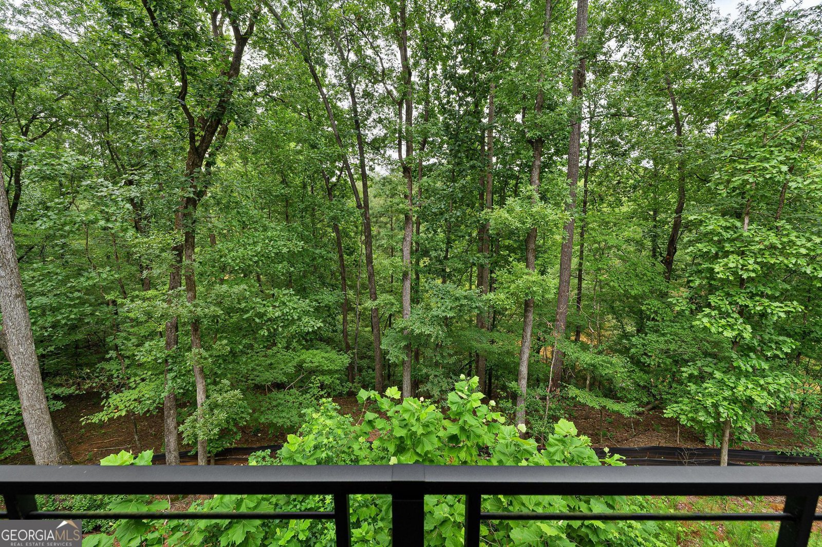 145 River Oak Way Athens - 24