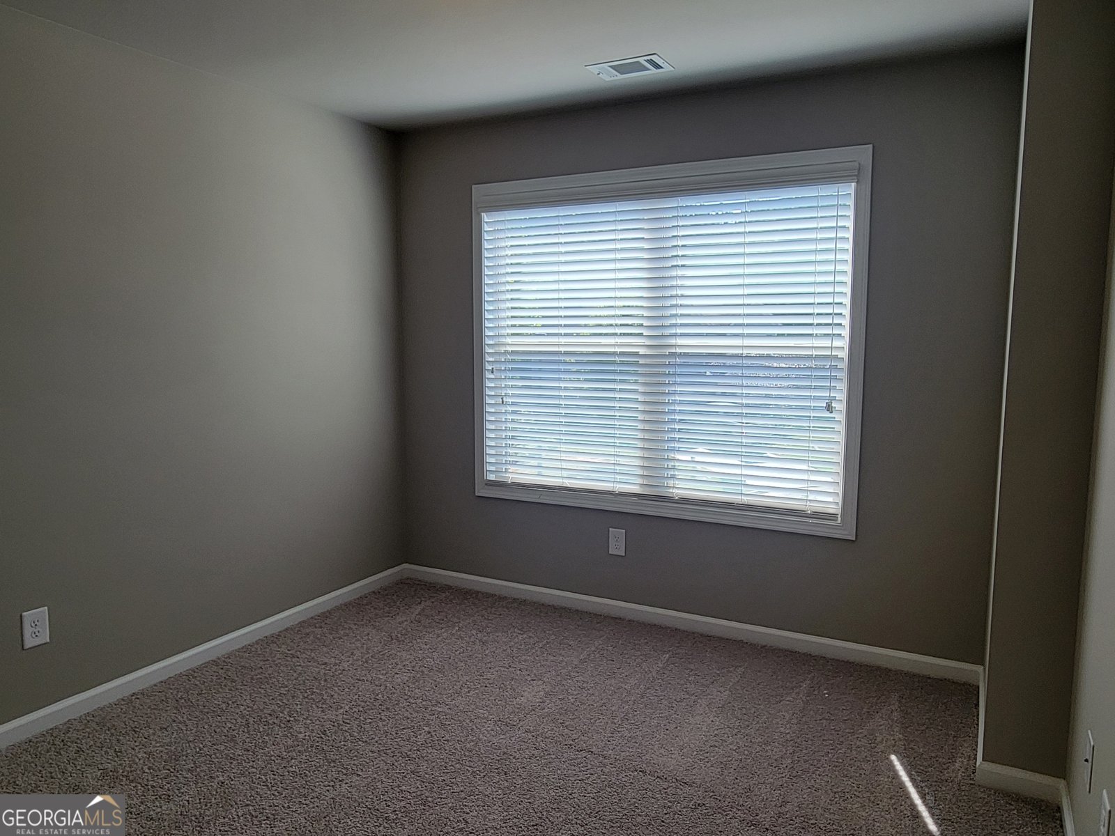 931 Walnut Woods Drive Braselton - 18