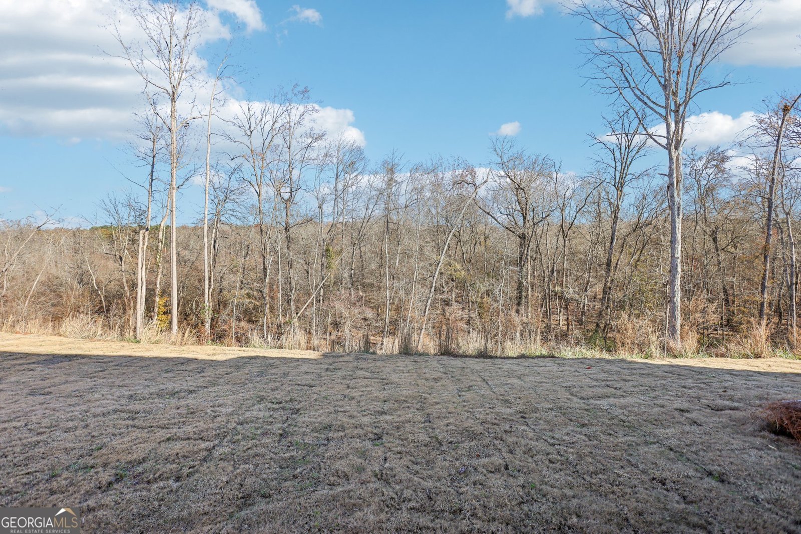 309 Westfall Terrace Loganville - 59