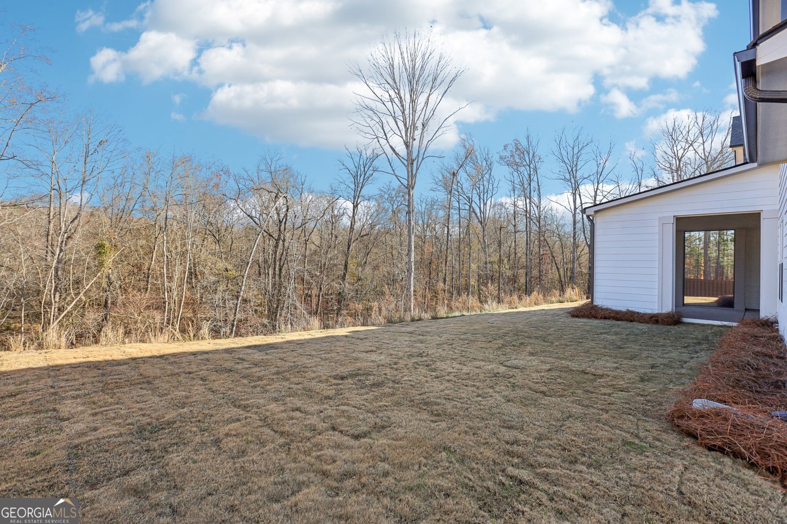 309 Westfall Terrace Loganville - 60