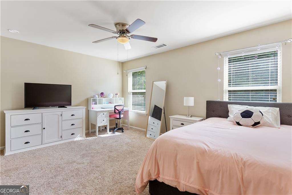 213 Manous Way Canton - 22