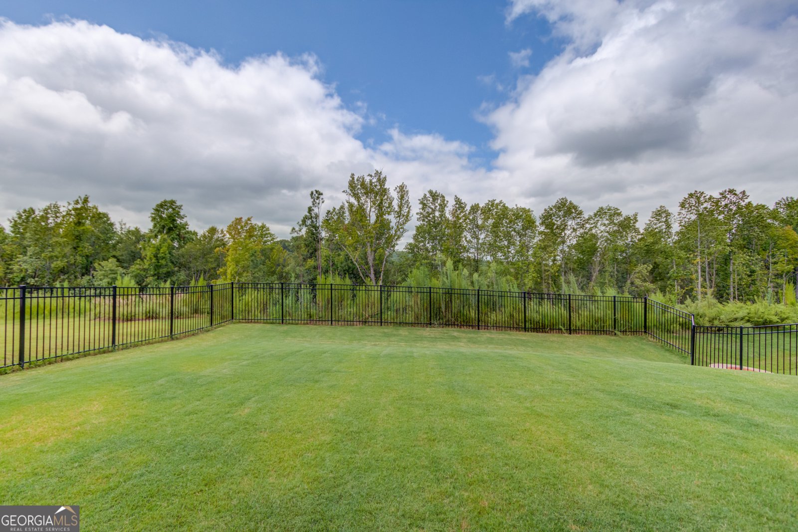 165 Kerr Drive Hoschton - 40