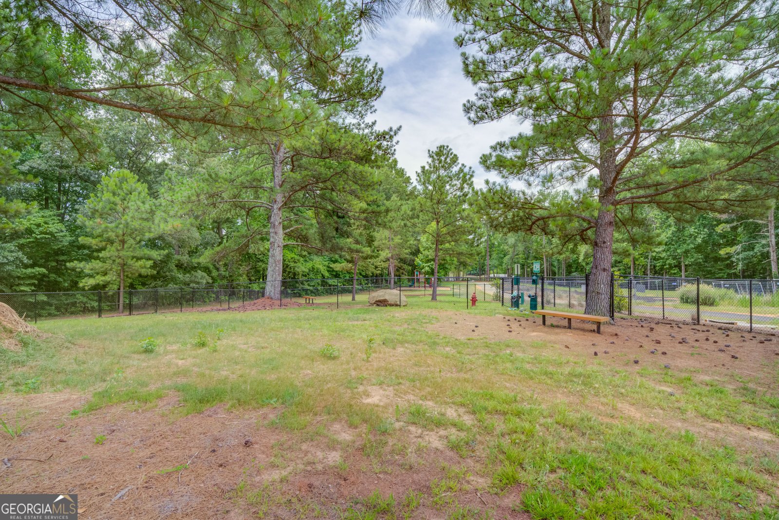 165 Kerr Drive Hoschton - 48