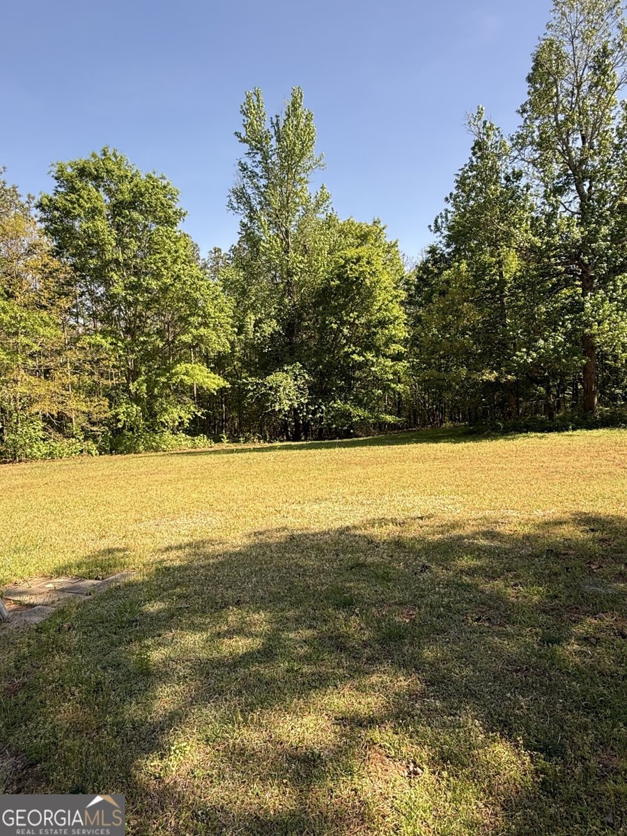 2018 Star Point Road Carrollton - Photo 41