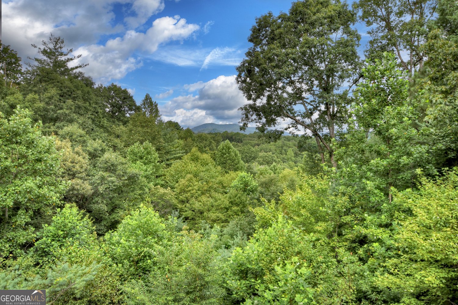 365 Trails End Summit Ellijay - 17