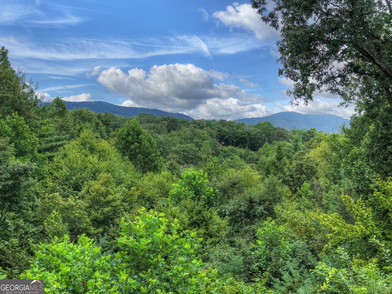 365 Trails End Summit Ellijay - 35