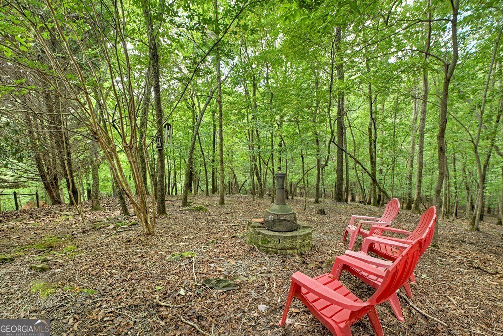 1021 Newport Drive Ellijay - 24