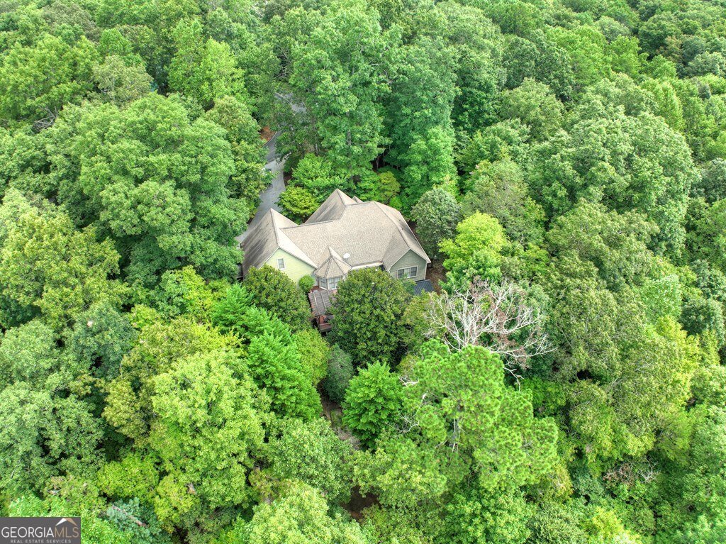 1021 Newport Drive Ellijay - 35