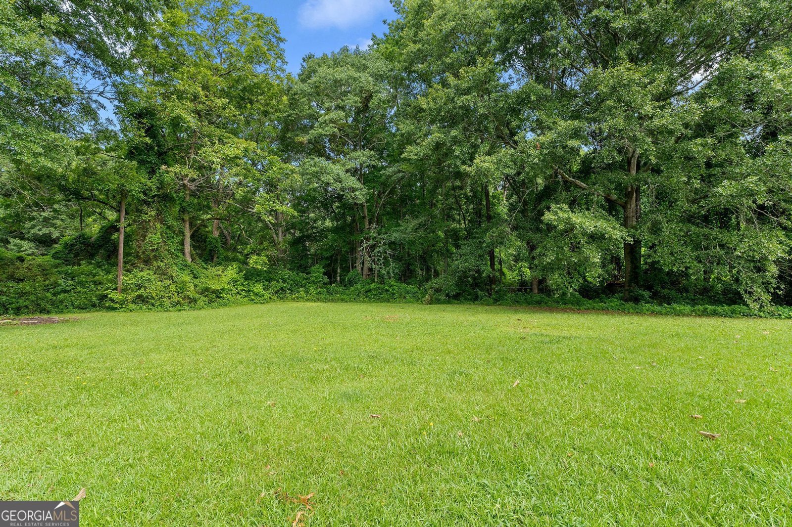 107 Club Drive Locust Grove - 17