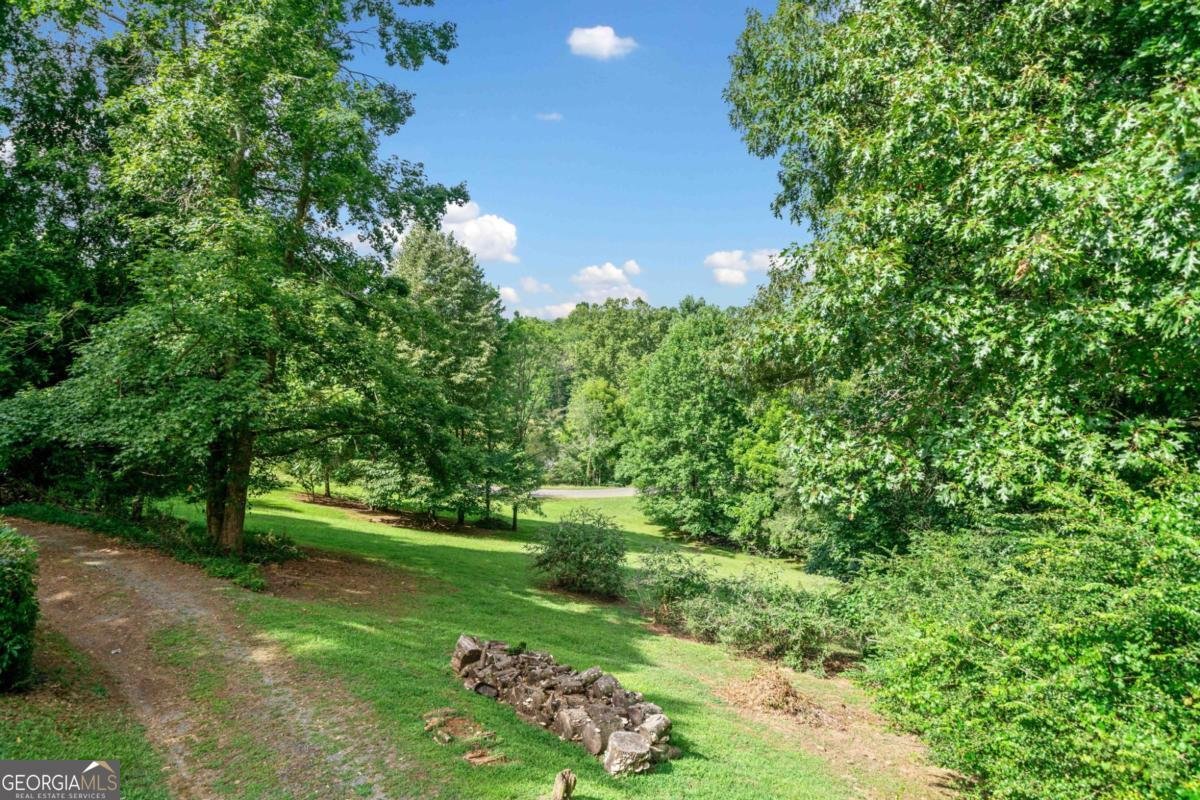 77 Long View Lane Ellijay - 34
