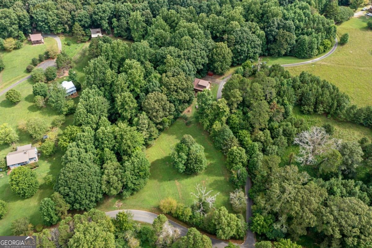 77 Long View Lane Ellijay - 39