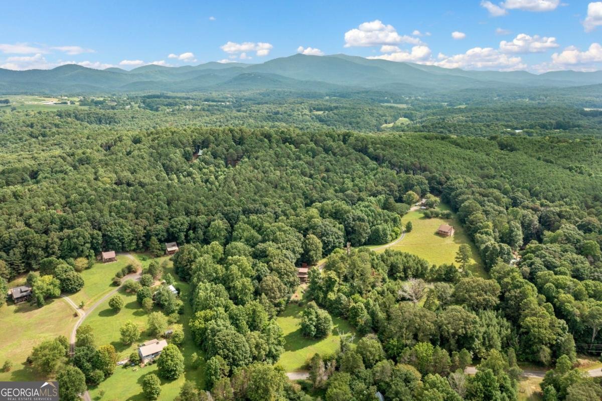 77 Long View Lane Ellijay - 40