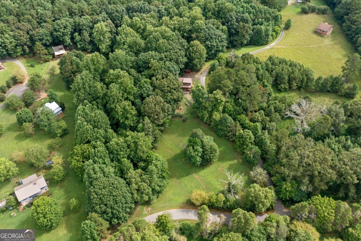 77 Long View Lane Ellijay - 41