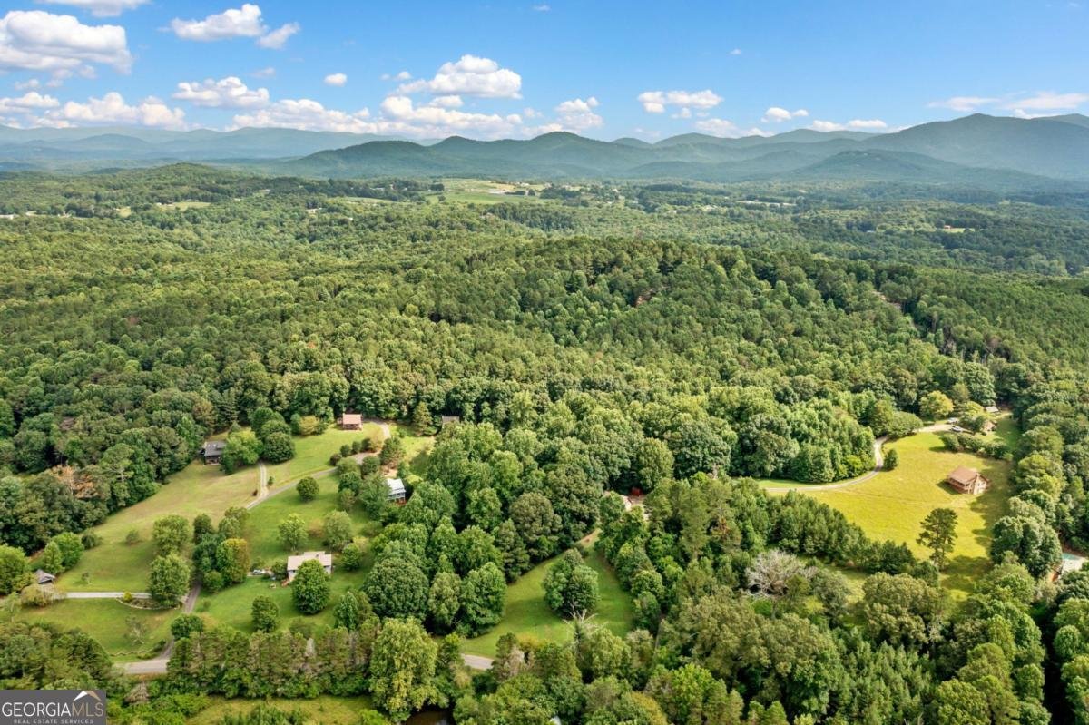 77 Long View Lane Ellijay - 42