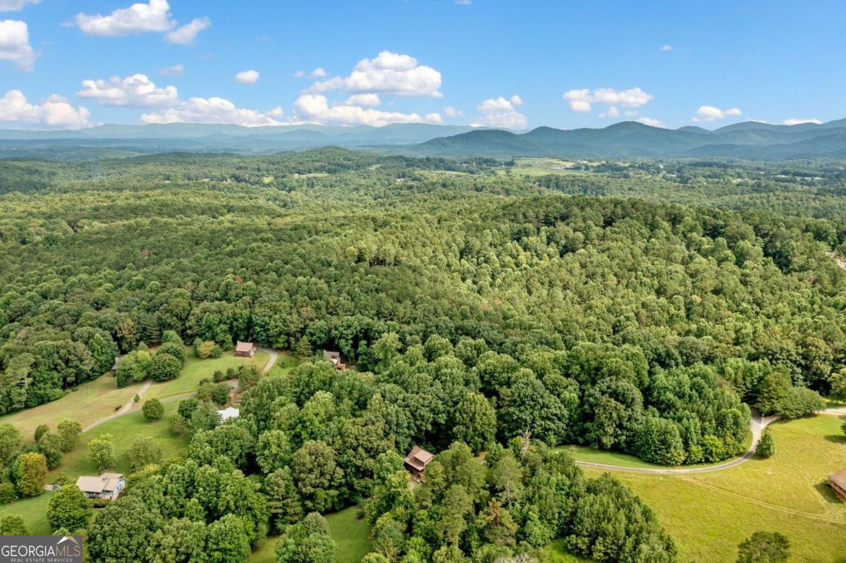 77 Long View Lane Ellijay - 43