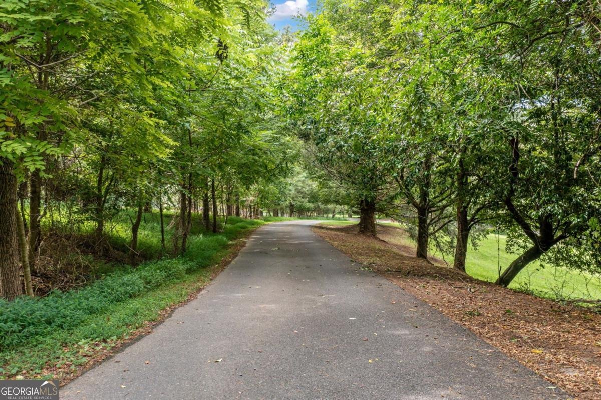 77 Long View Lane Ellijay - 7
