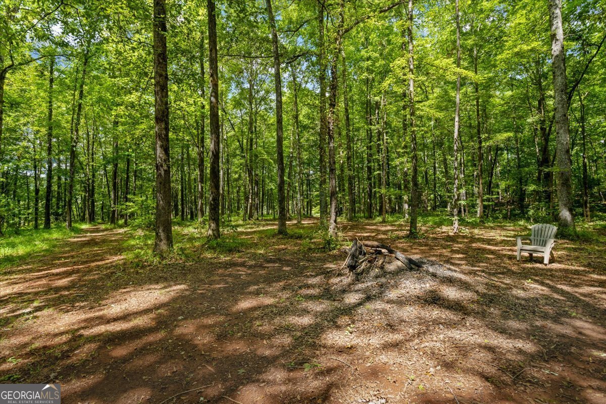 116 Woolsey Creek Trail Fayetteville - 34