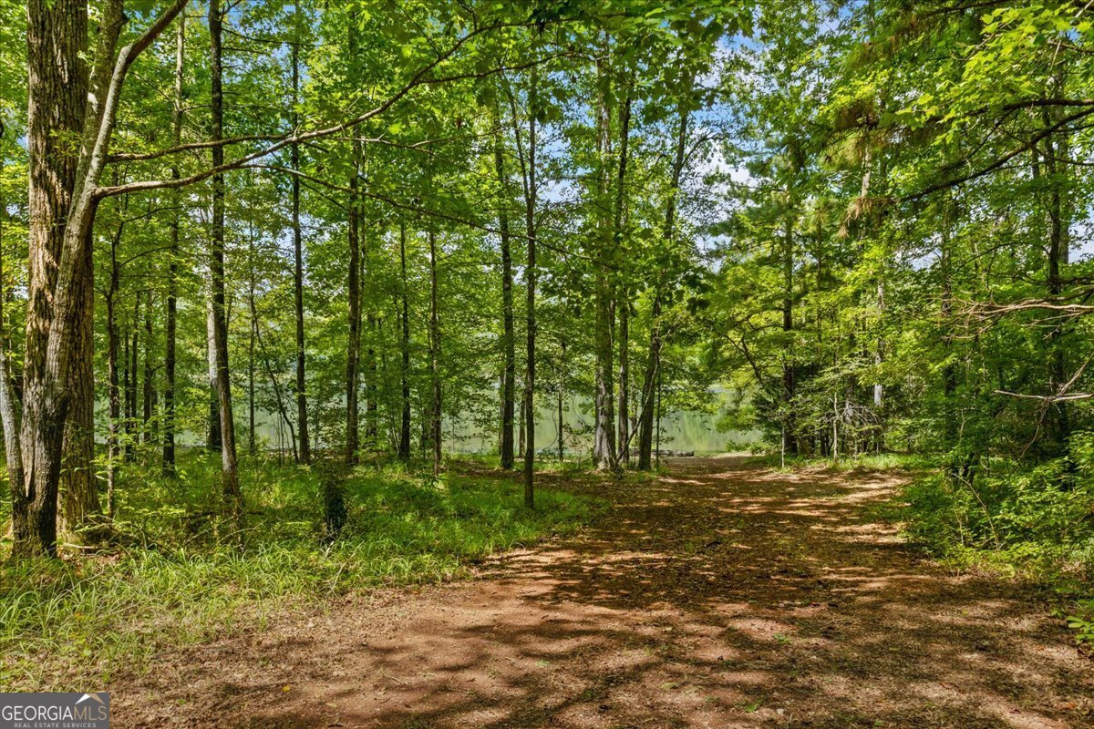 116 Woolsey Creek Trail Fayetteville - 36