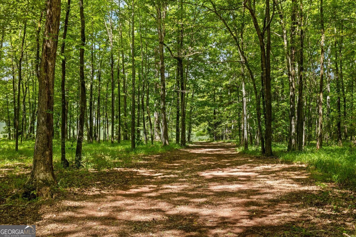 116 Woolsey Creek Trail Fayetteville - 70