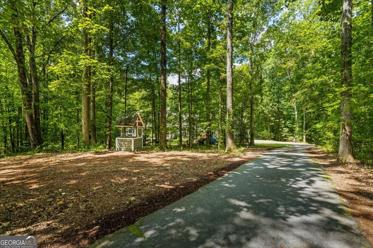 116 Woolsey Creek Trail Fayetteville - 9