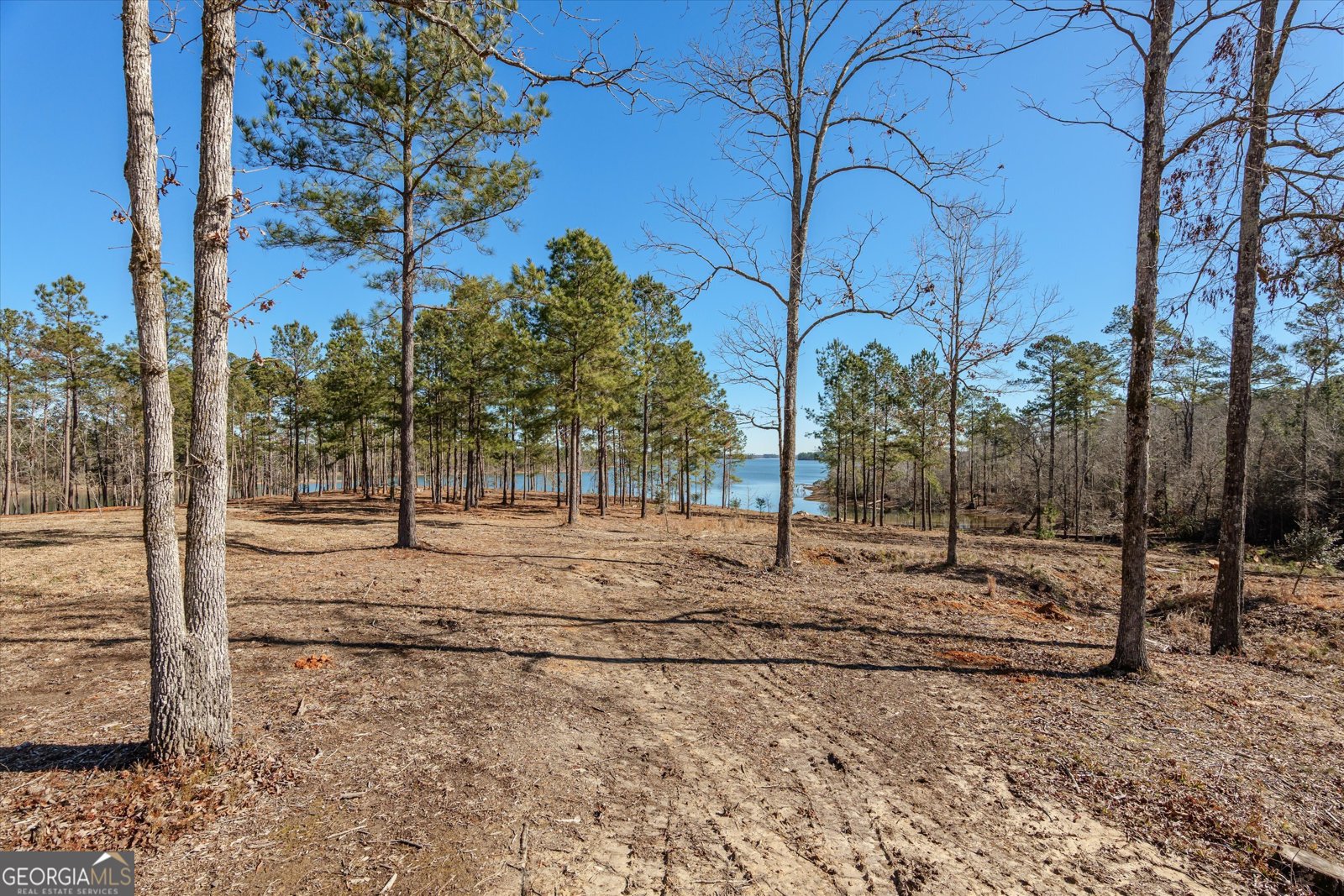 1063 Fleming Lake Court Lincolnton - 68