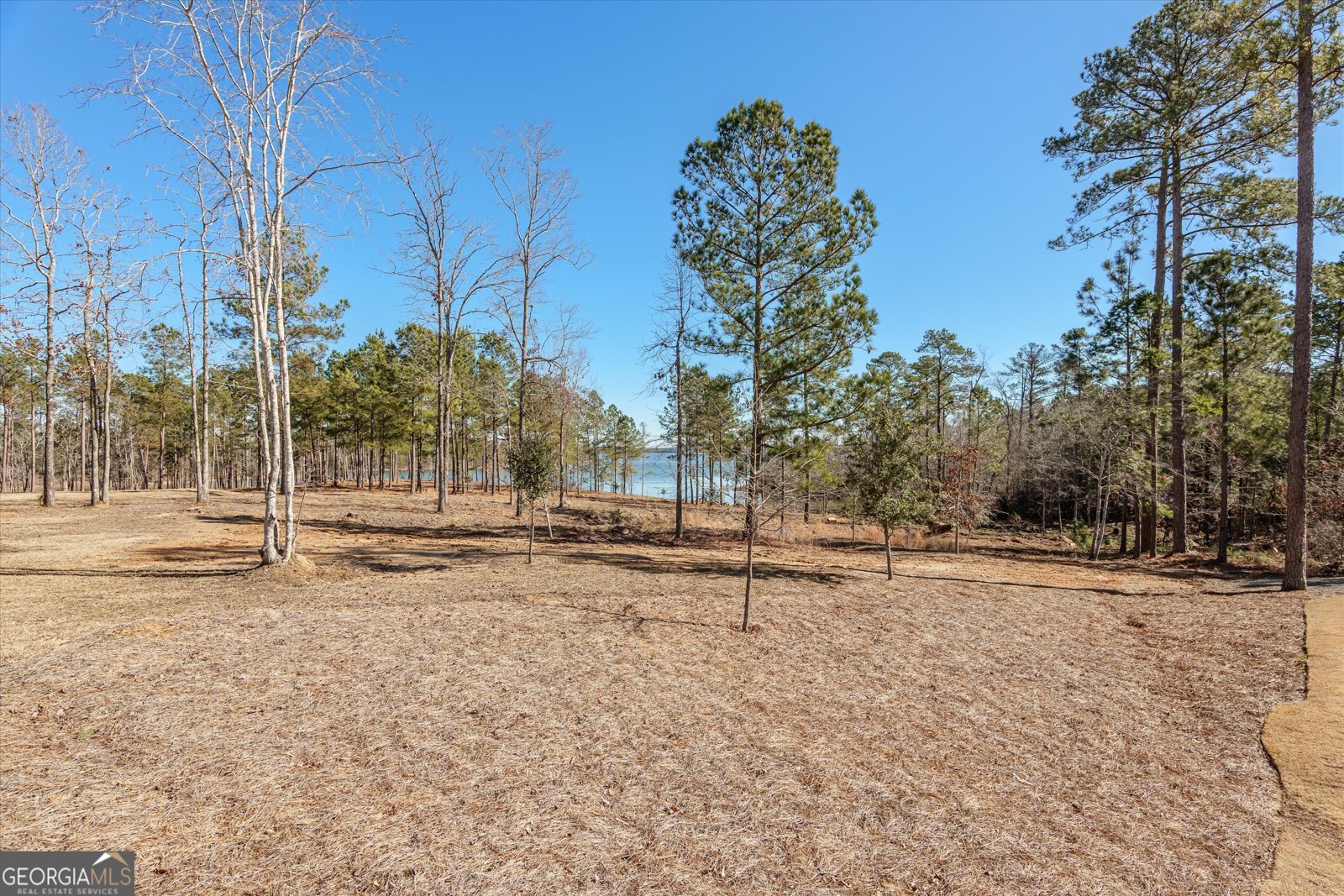 1063 Fleming Lake Court Lincolnton - 70