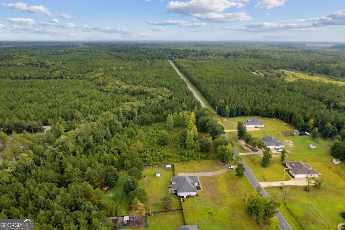 4446 CLARKS BLUFF Road Kingsland - 43