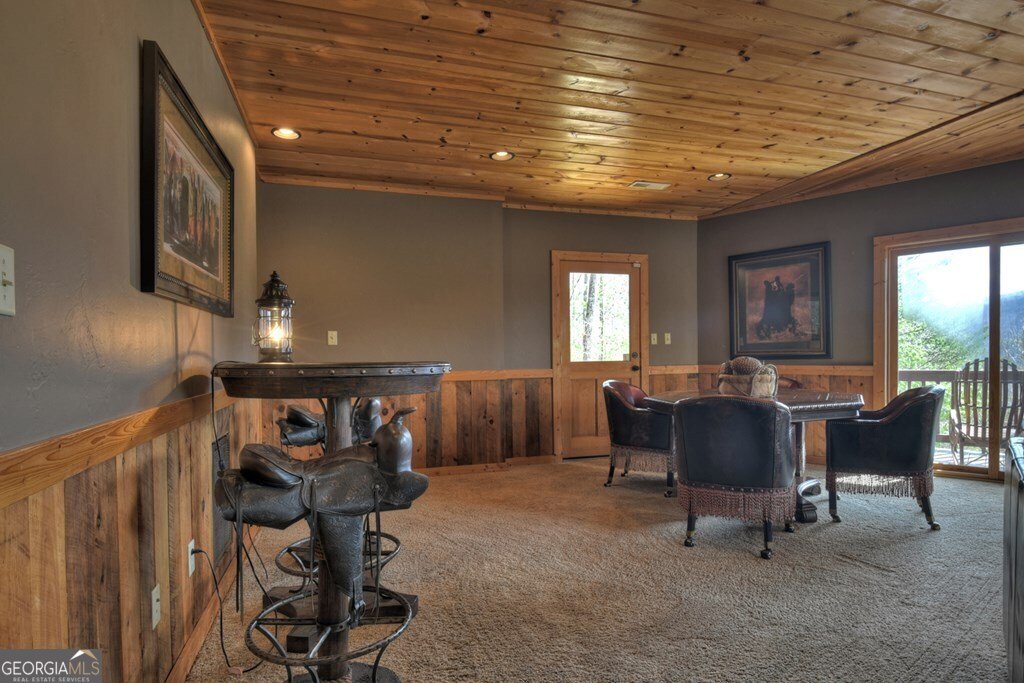 101 Falling Rock Road Blue Ridge - 19