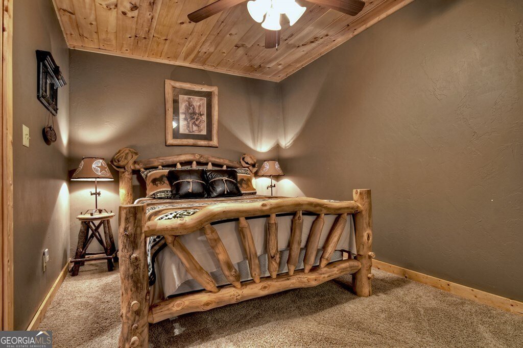 101 Falling Rock Road Blue Ridge - 20