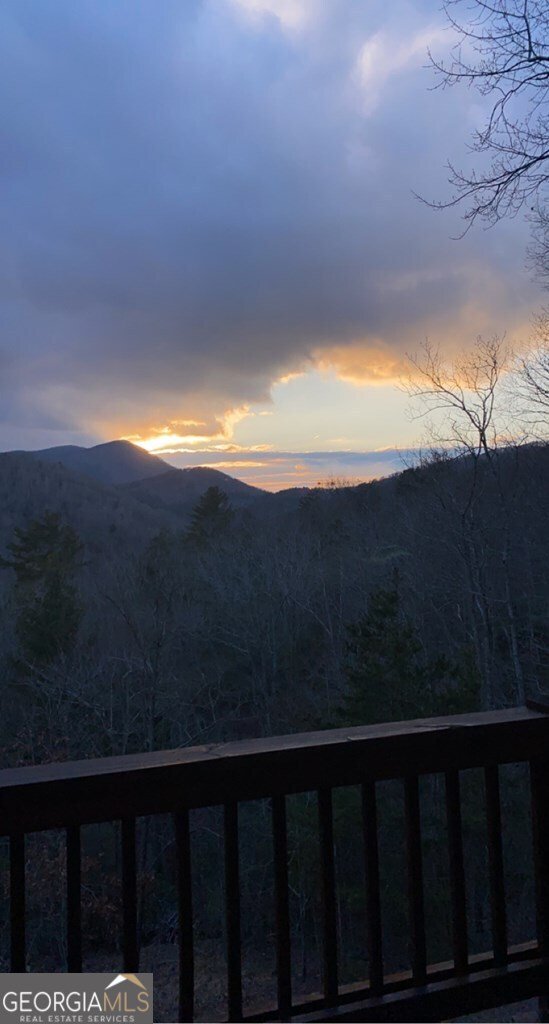 101 Falling Rock Road Blue Ridge - 33