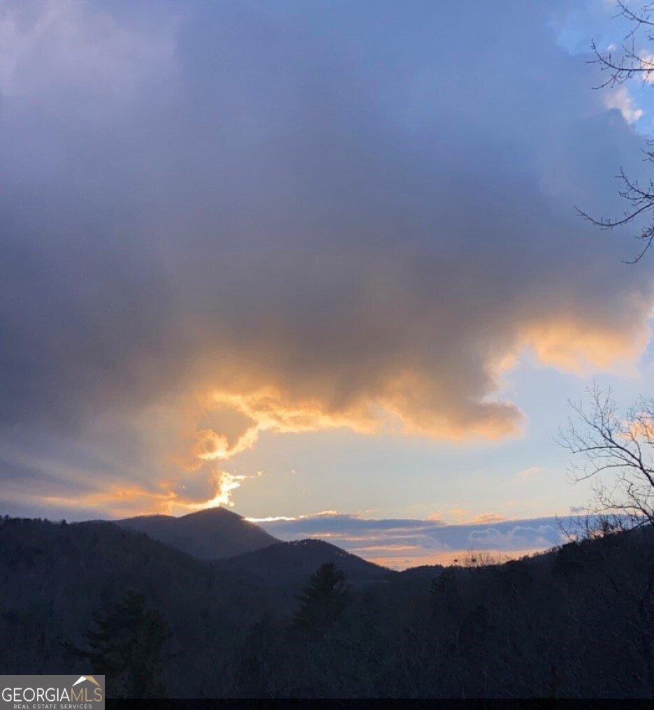 101 Falling Rock Road Blue Ridge - 34