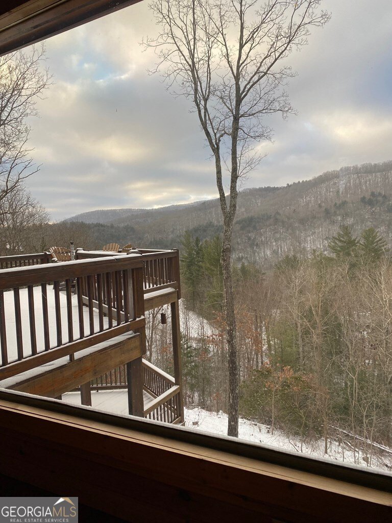 101 Falling Rock Road Blue Ridge - 35