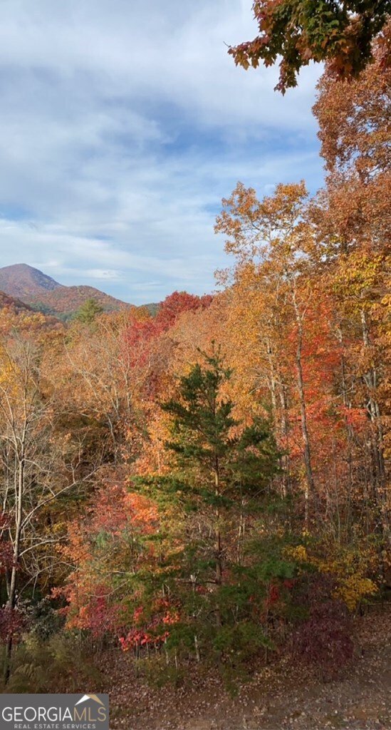 101 Falling Rock Road Blue Ridge - 36