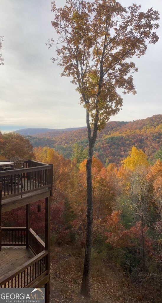 101 Falling Rock Road Blue Ridge - 37