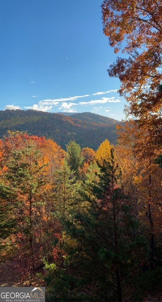 101 Falling Rock Road Blue Ridge - 38