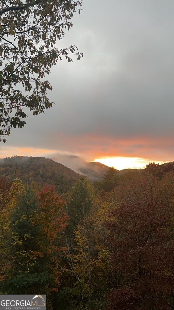 101 Falling Rock Road Blue Ridge - 39