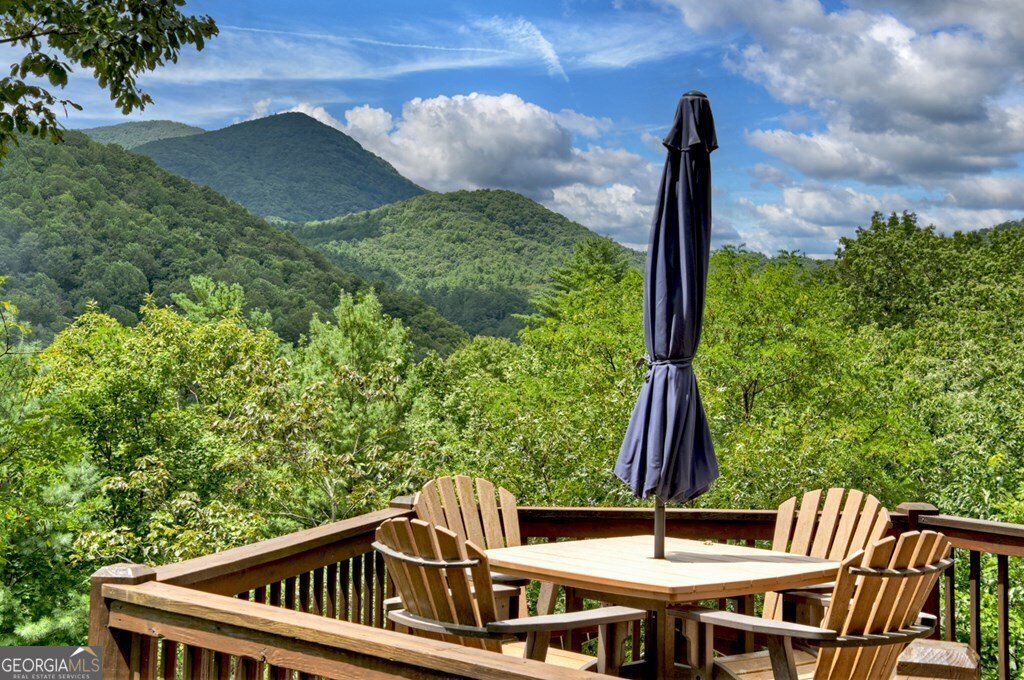 101 Falling Rock Road Blue Ridge - 42